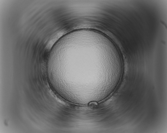 X0000103441337200809261745