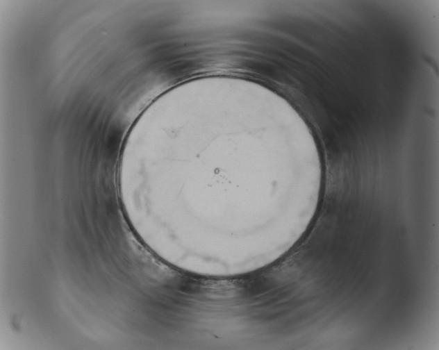 X0000103441338200809261745