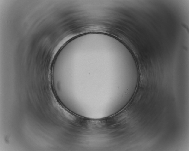 X0000103441339200809261745
