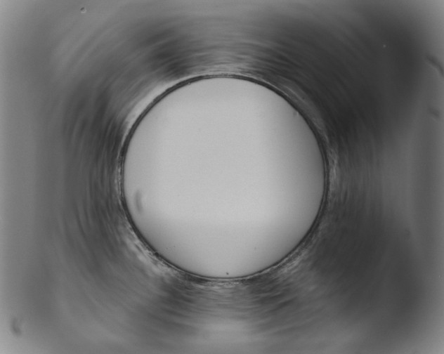 X0000103441340200809261745