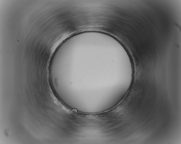 X0000103441341200809261745