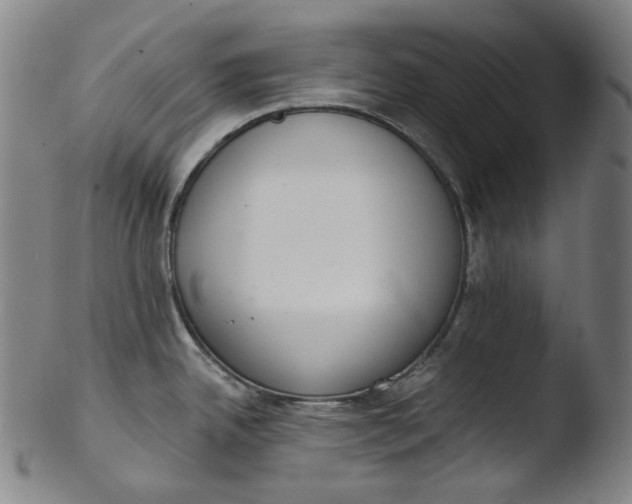 X0000103441342200809261745