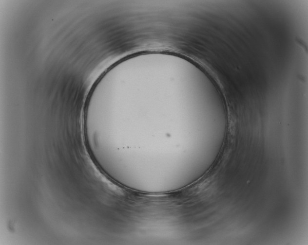 X0000103441343200809261745