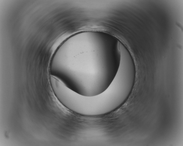 X0000103441344200809261745
