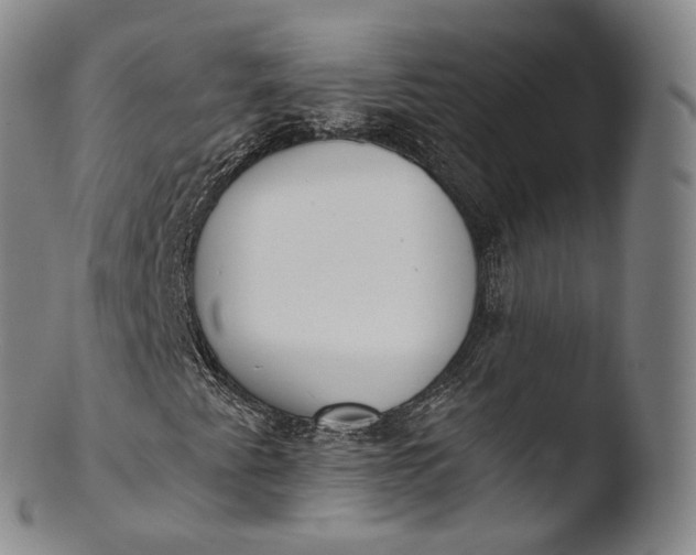 X0000103441345200809261745