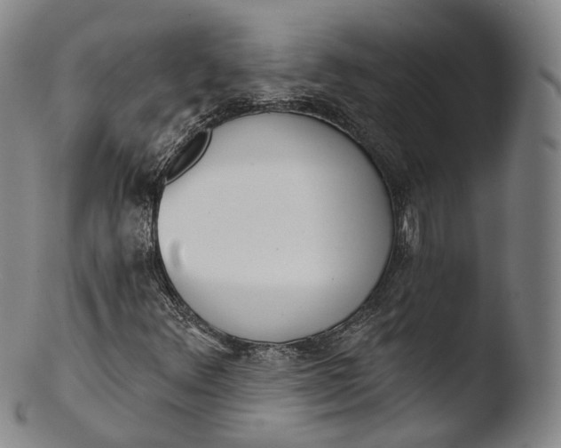 X0000103441348200809261745