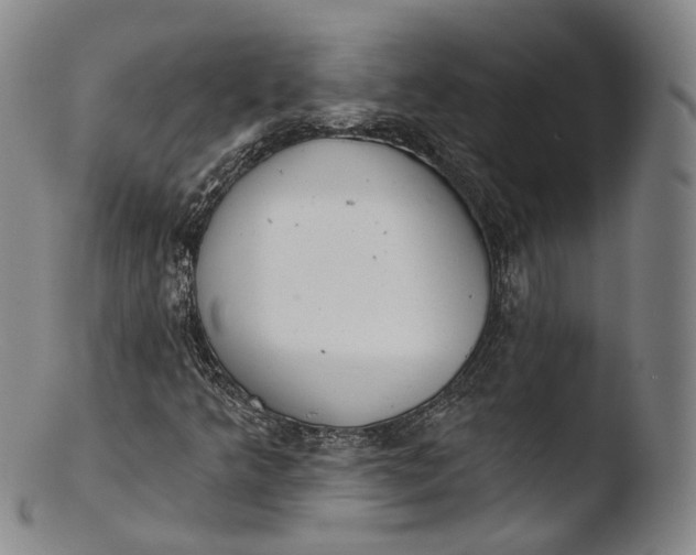 X0000103441349200809261745