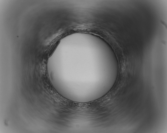 X0000103441350200809261745