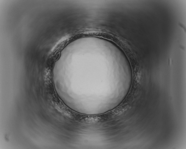 X0000103441351200809261745