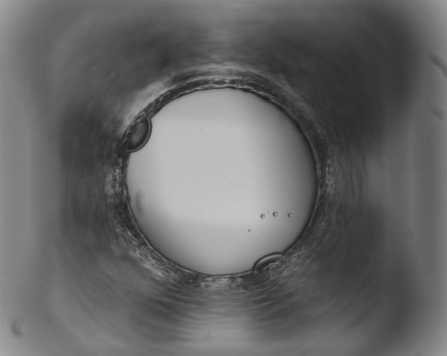 X0000103441352200809261745