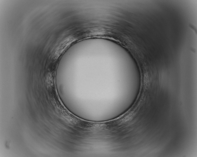 X0000103441353200809261744
