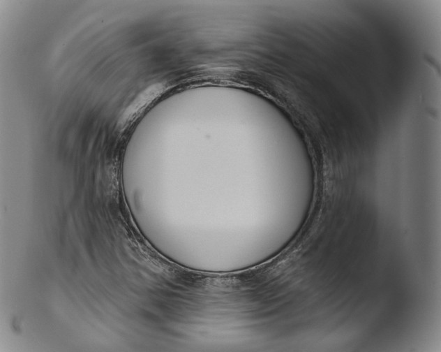 X0000103441354200809261744