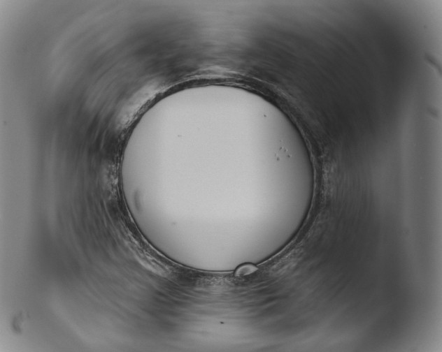 X0000103441355200809261744