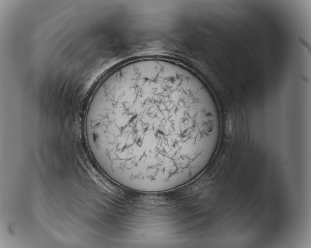 X0000103441356200809261744