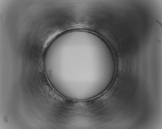 X0000103441358200809261744