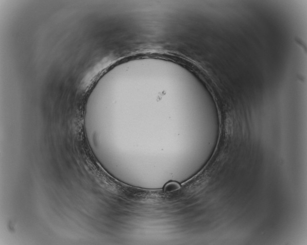 X0000103441359200809261744