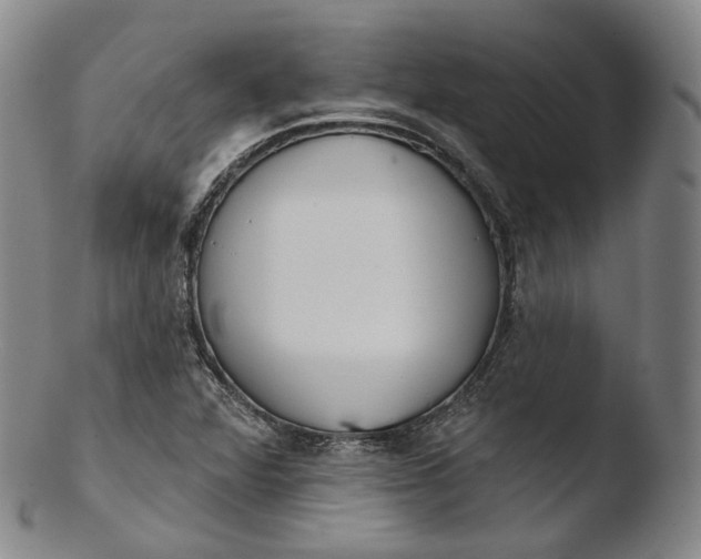 X0000103441360200809261744