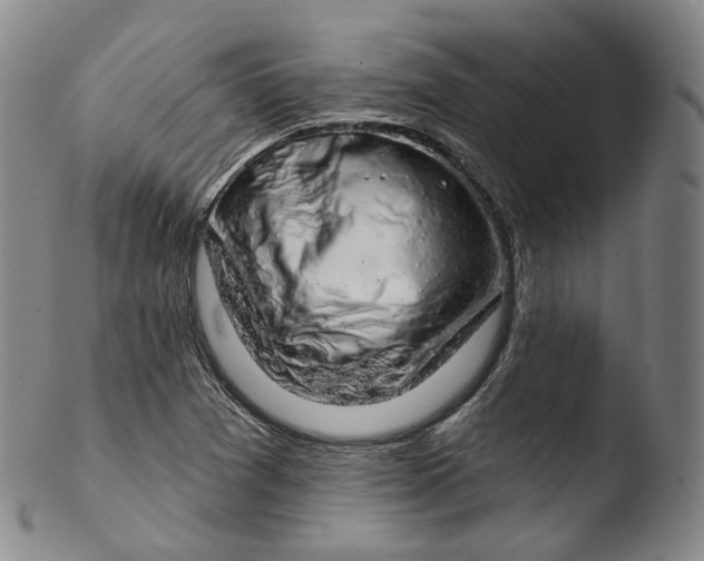 X0000103441361200809261744