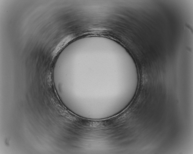 X0000103441362200809261744