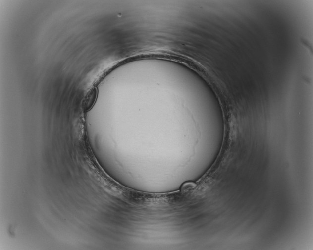 X0000103441363200809261744