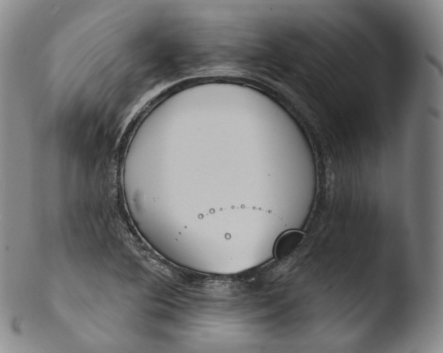 X0000103441364200809261744
