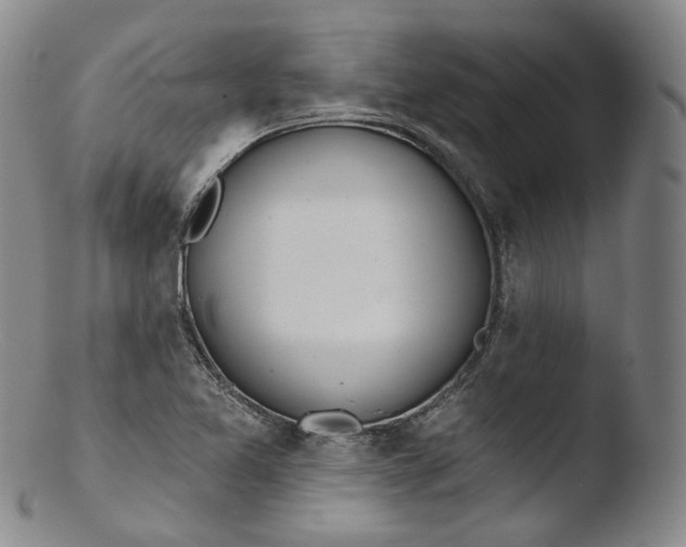 X0000103441365200809261744