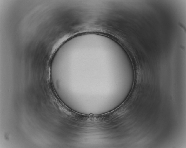 X0000103441366200809261744
