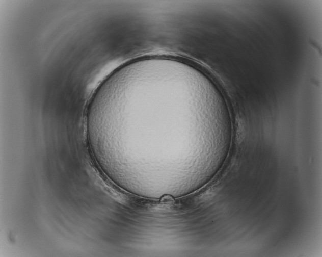 X0000103441367200809261744