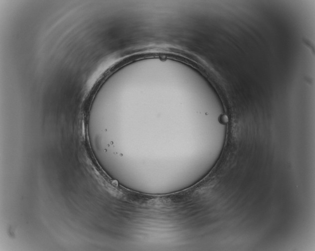 X0000103441368200809261744