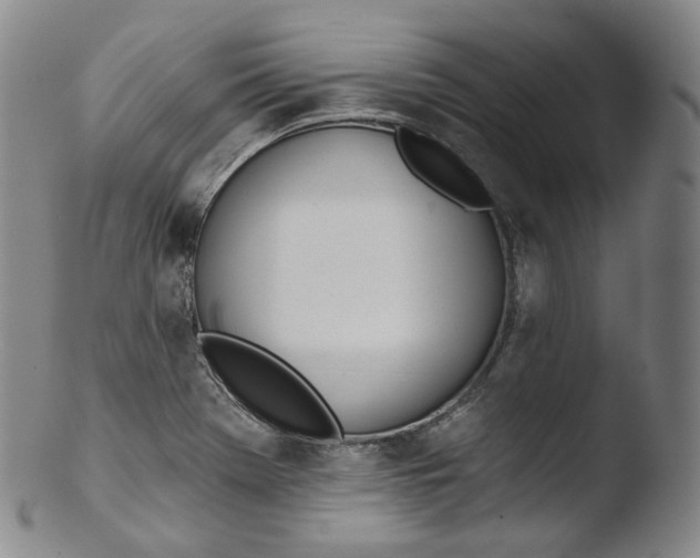 X0000103441369200809261744