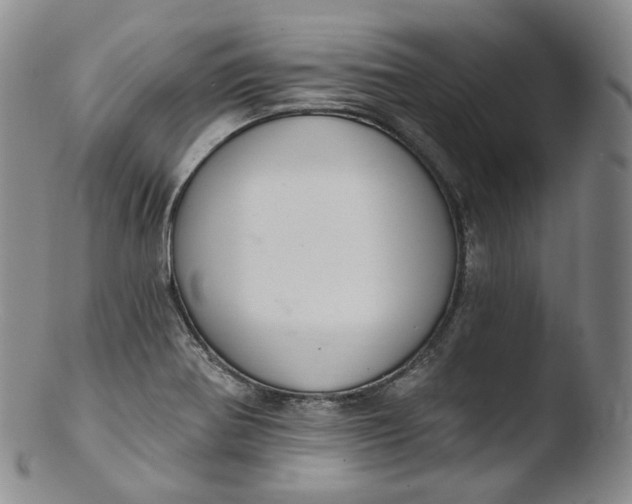 X0000103441370200809261744