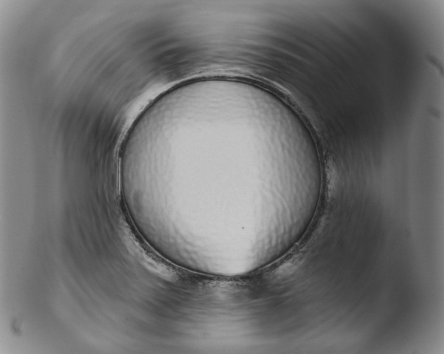 X0000103441371200809261744