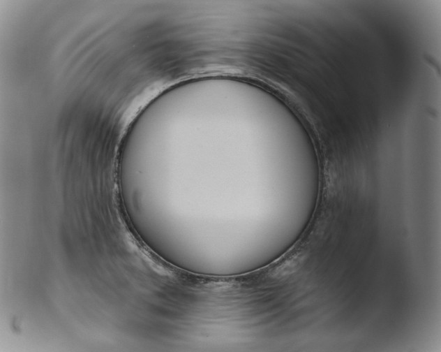 X0000103441373200809261744