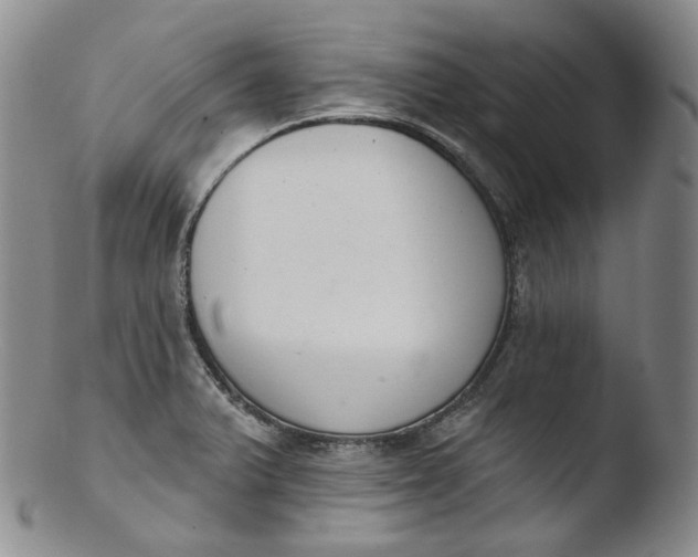 X0000103441375200809261744