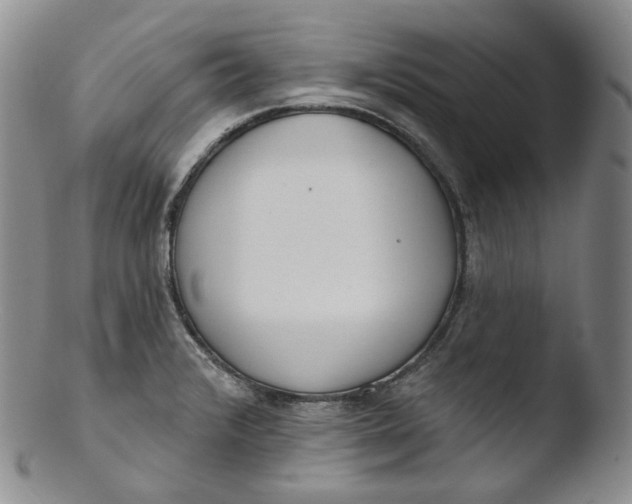 X0000103441376200809261744