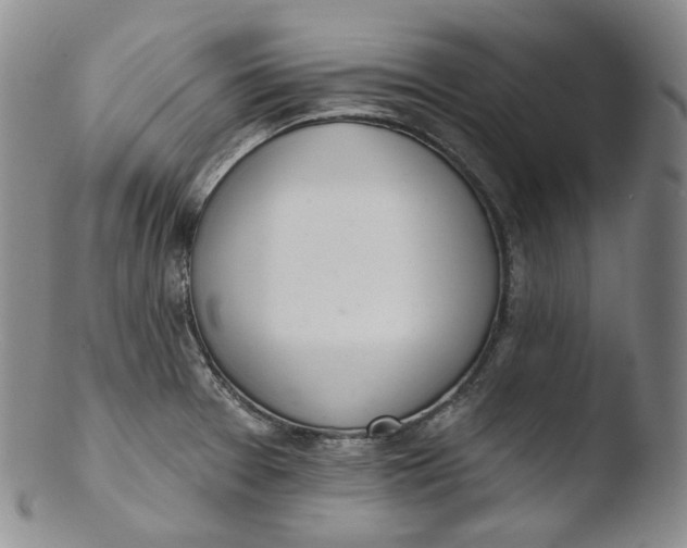 X0000103441377200809261744