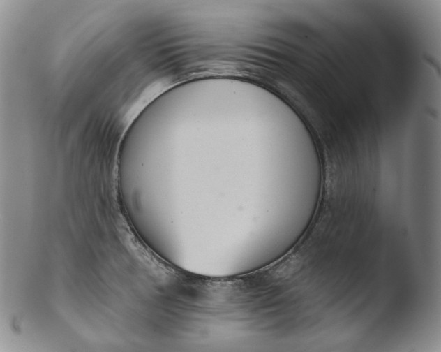 X0000103441378200809261744