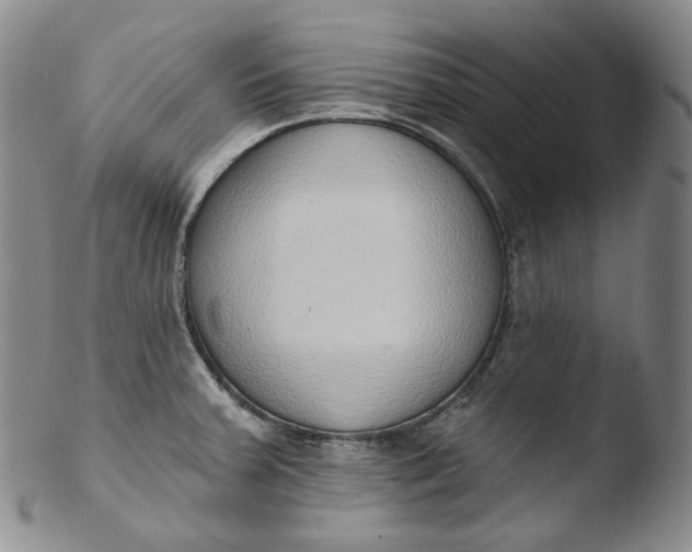 X0000103441379200809261744
