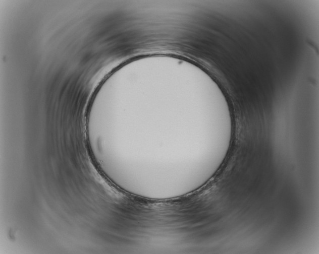 X0000103441380200809261744