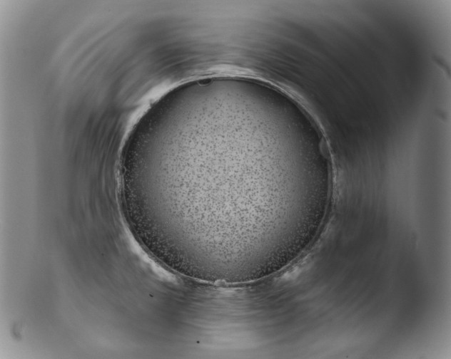 X0000103441381200809261744