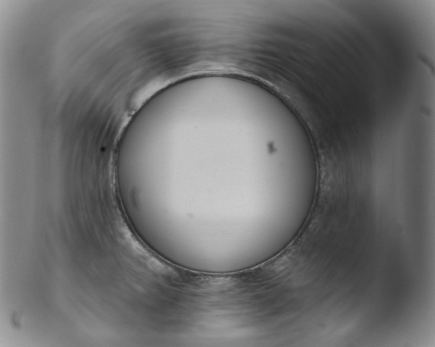 X0000103441382200809261744