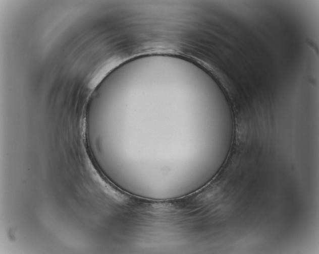 X0000103441383200809261744