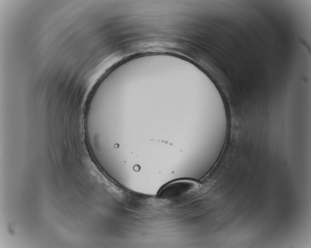 X0000103441384200809261744