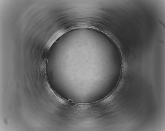X0000103441385200809261744