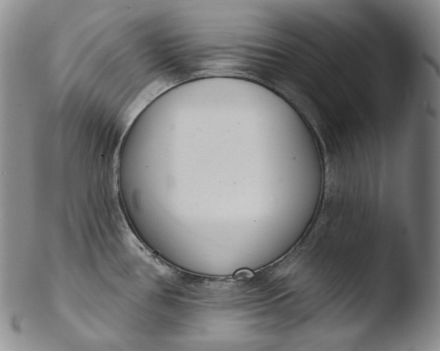 X0000103441386200809261744