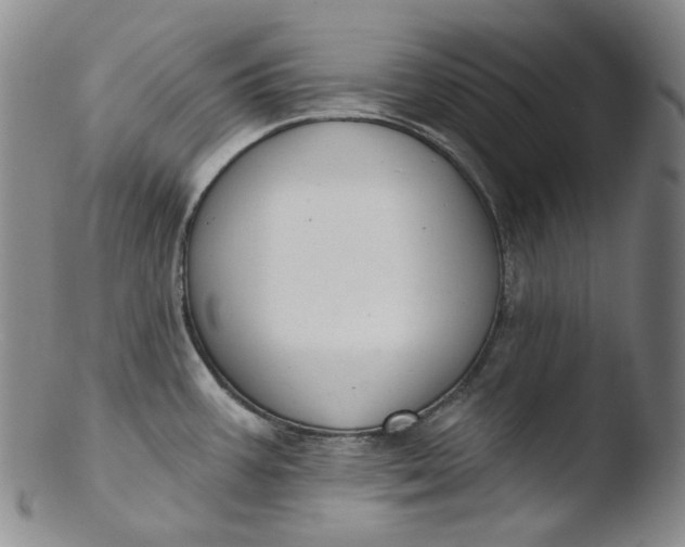 X0000103441387200809261744
