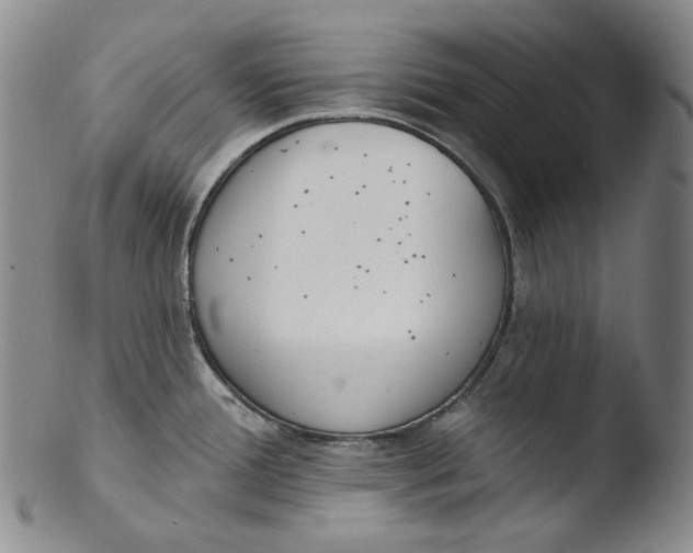 X0000103441388200809261744