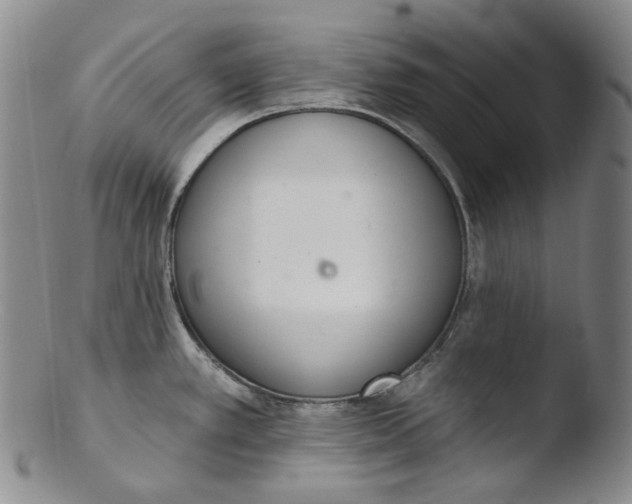 X0000103441389200809261744
