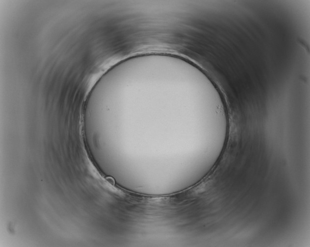 X0000103441390200809261744