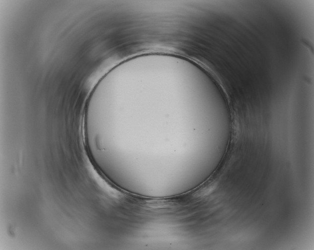 X0000103441391200809261744